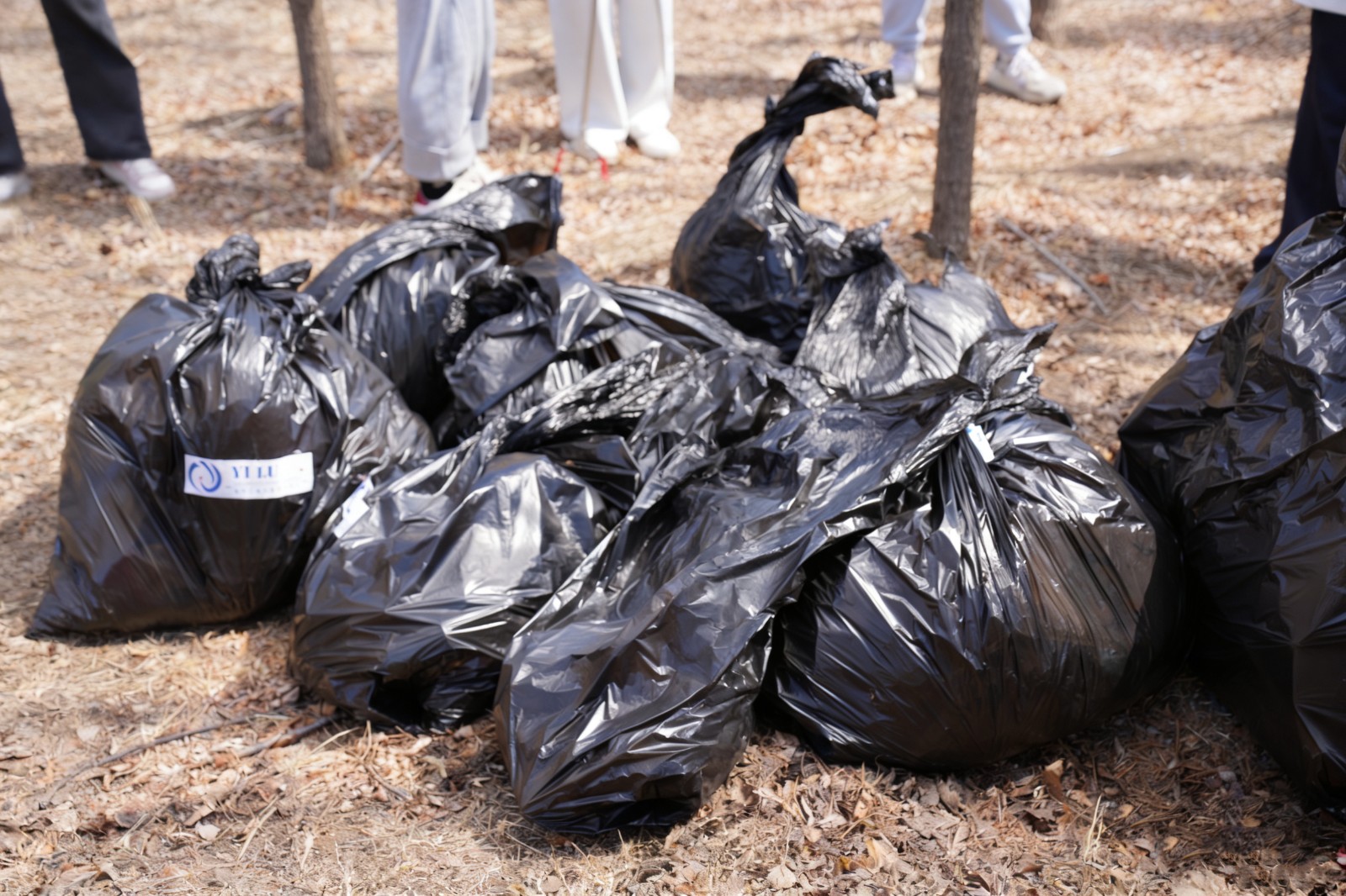 1776003888423591.jpg 2026-04-11 144700.jpg